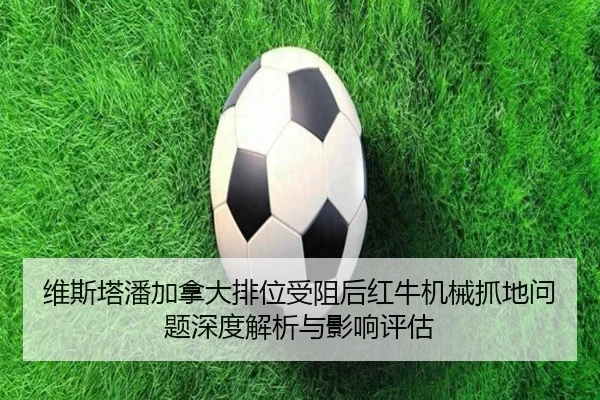wei-si-ta-pan-jia-na-da-pai-wei-shou-zu-hou-hong-niu-ji-xie-zhua-di-wen-ti-shen-du-jie-xi-yu-ying-xiang-ping-gu-1-589.jpg